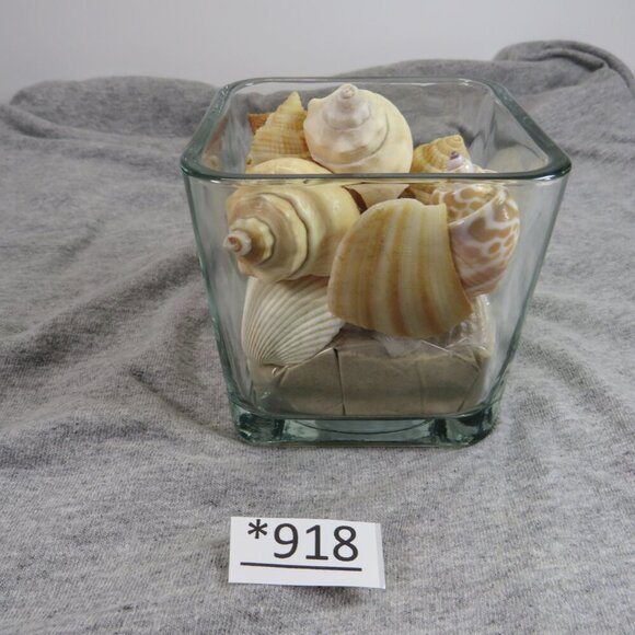 REAL Sea Shells in a Glass Square Vase and sand - Picture 3 of 6
